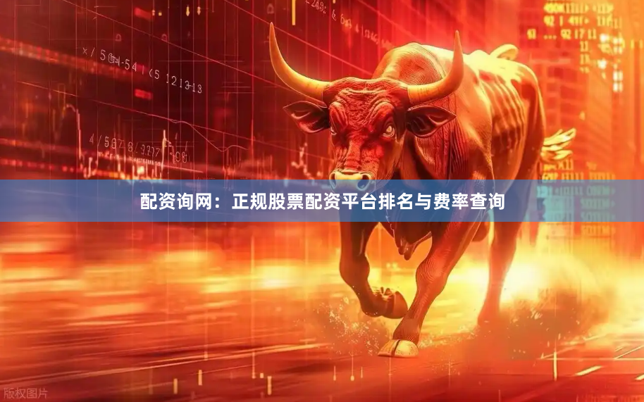 配资询网：正规股票配资平台排名与费率查询