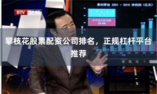 攀枝花股票配资公司排名，正规杠杆平台推荐